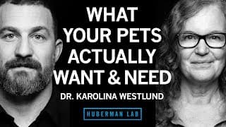What Pets Actually Want & Need | Dr. Karolina Westlund