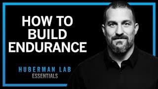 How to Build Endurance | Huberman Lab Essentials