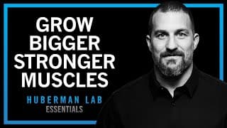 Build Muscle Size, Increase Strength & Improve Recovery | Huberman Lab Essentials
