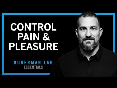 How to Control Your Sense of Pain & Pleasure | Huberman Lab Essentials