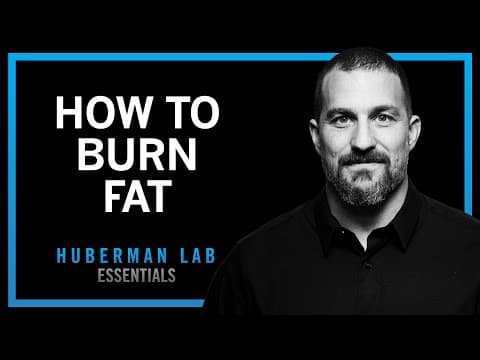 Lose Fat With Science-Based Tools | Huberman Lab Essentials